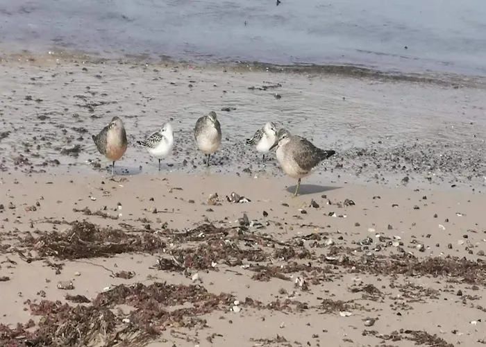 4 Person In Hjørring